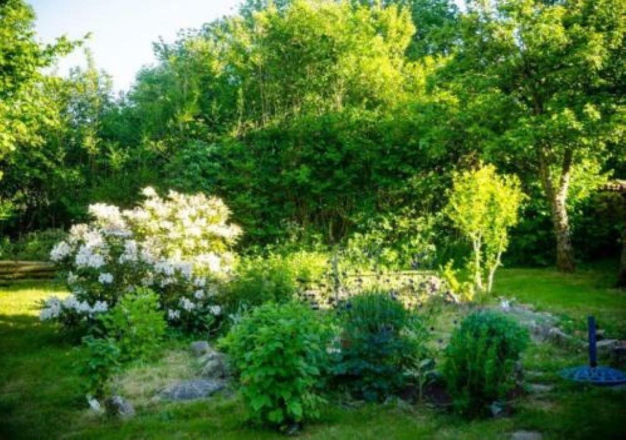 L'Embellie Bed & Breakfast Bertignat Luaran gambar